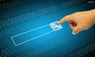 8月起，这些新规将影响慈溪人的生活——聚焦互联网广告服务